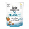 Brit Care Dog Snack Recovery