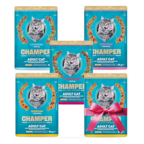 CHAMPER dla kota - 5 saszetek 85g w 4 smakach - 4+1GRATIS!