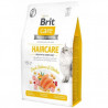Brit Care Cat Grain Free Haircare 2kg