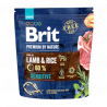 Brit Premium by Nature Sensitive Lamb & Rice - 1kg